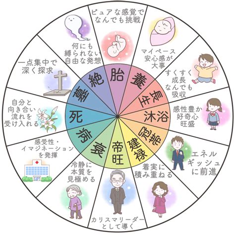 十 二 運|四柱推命の十二運とは？年柱・月柱・時柱とあわせて。